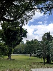 Cluny Park (D10), Detached #536894151